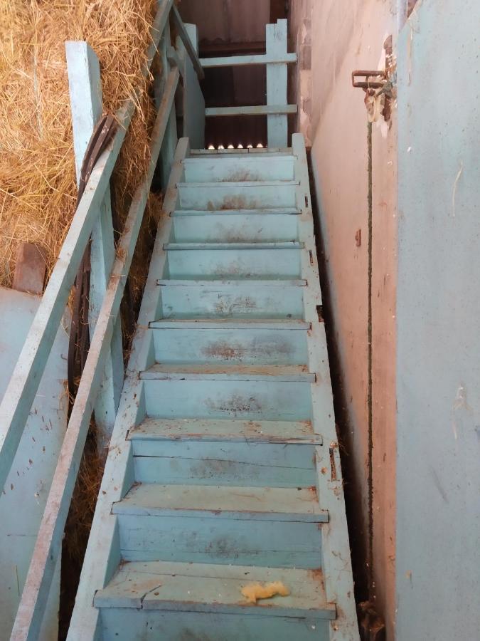 דירות Daillancourt Ferme Du Sapin מראה חיצוני תמונה